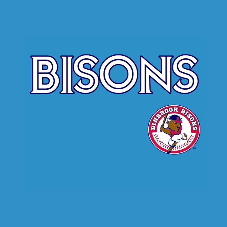 Binbrook Bisons Baseball