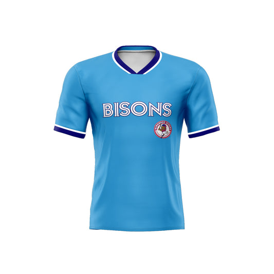 custom full sublimation short sleeve jersey for mens baseball Binbrook Bisons